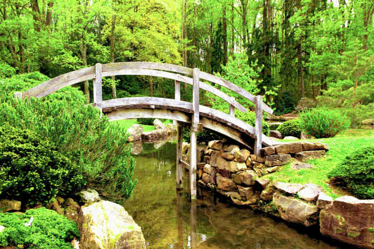 Timber bridge