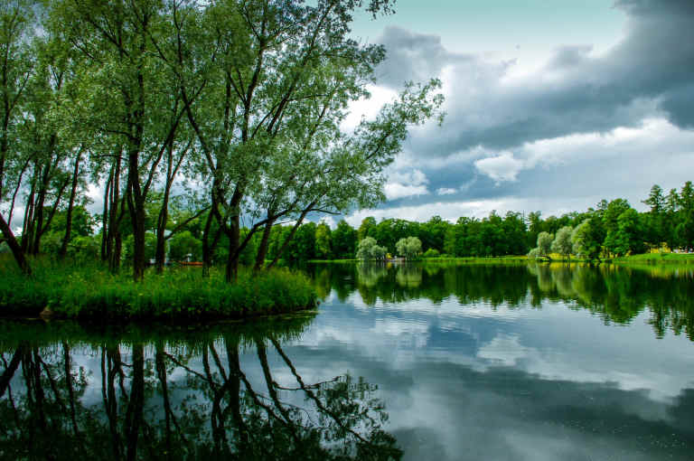 Island in pond