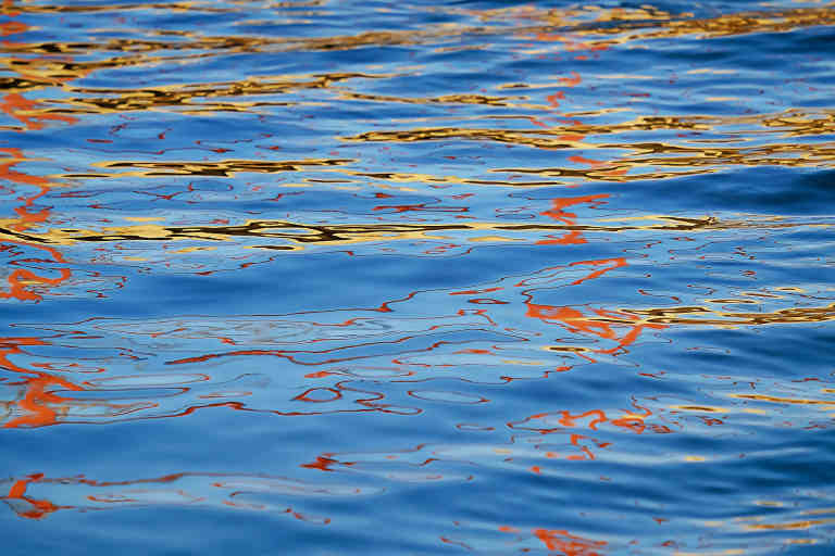 Koi colours on water