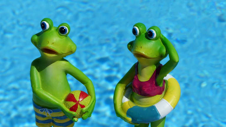 Beach frogs