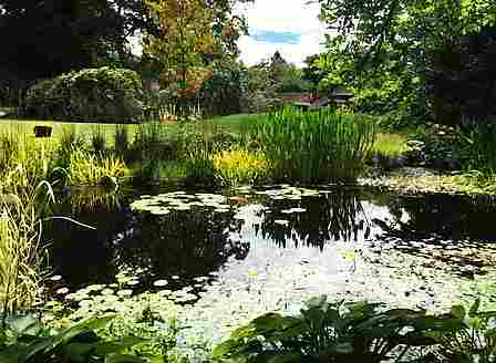 Planted lined pond