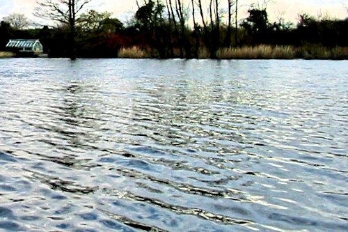 View across large pond