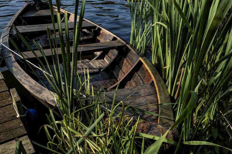 Rowing boat on lake